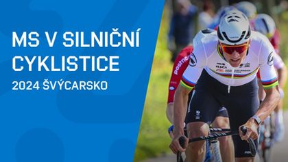 MS v silniční cyklistice 2024, Silniční cyklistika