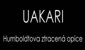 Uakari, Humboldtova ztracená opice
