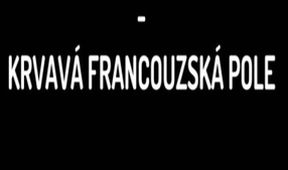 LEGIE 100 – Krvavá francouzská pole, Začátek 1. světové války – 110 let