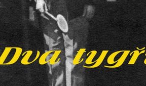 Dva tygři