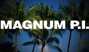 Magnum III (13/22)