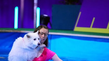 Top Dog Germany - Der beste Hund Deutschlands