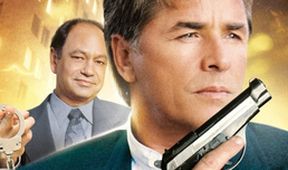 Detektiv Nash Bridges