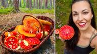 Sběr muchomůrky červené: Proč byste měli přidat tuto houbu do svého košíku