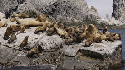 Kamčatka, tajuplná země