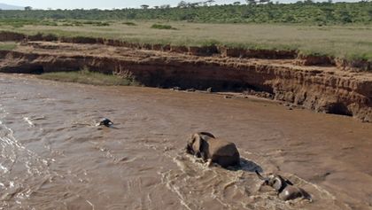 Serengeti (4)