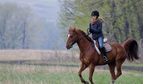 Ranč Heartland II (18/18)