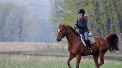 Ranč Heartland II (18/18)
