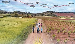 Camino na kolečkách