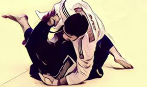 IPPON, Judo