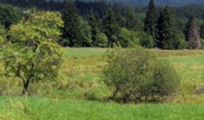 Oblasti ptačí a lidské aneb Natura paradoxa