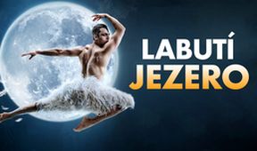 Labutí jezero, Z první řady...
