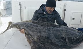 Last of the Giants
