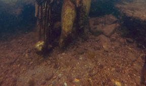 Podmořské Pompeje