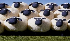 Ovečka Shaun II