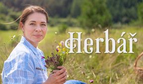Herbář