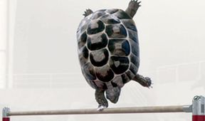 Athleticus I