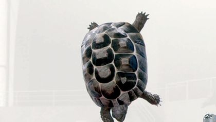 Athleticus I