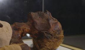 Champollion a Ramesse II.: Setkání na Nilu