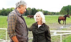 Inga Lindström: Divocí koně