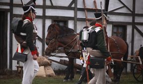 Napoleonovo tažení do Ruska (4/4)