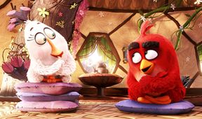 Angry Birds ve filmu