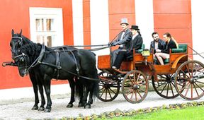 Svatby v Benátkách (78)