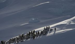 Tajemství Antarktidy