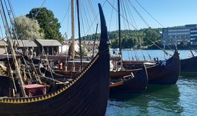 Vikingové: Pravdivý příběh (2)