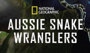 Australští lovci hadů (2)