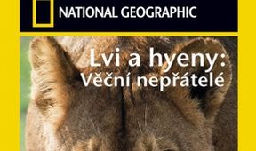 Lvi a hyeny: Věční nepřátelé