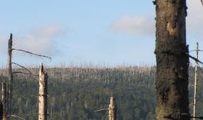 Divočina bez hranic (11)