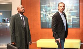Dr. House VIII (2)