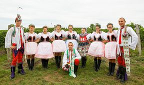 Vinaři (16)