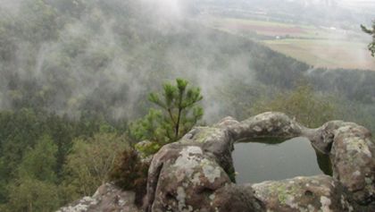 Divočina bez hranic (4)