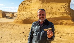 Tajemné údolí velryb v Egyptě