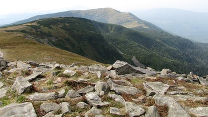 Divočina bez hranic (6)
