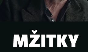 Mžitky