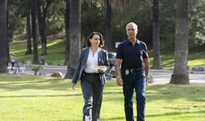 Bosch IV (5/10)