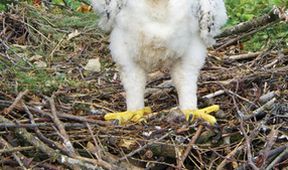 Natura w Jedynce - Przedszkole w naturze