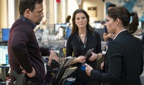 FBI IV (15/22)