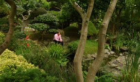 Nejkrásnější britské zahrady II (3)