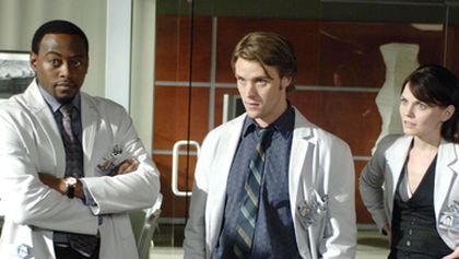 Dr. House (22)