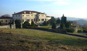 Palladiáni