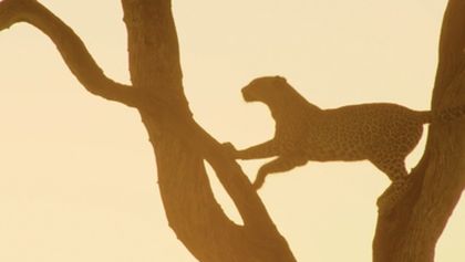 Život ve vedrech: Afrika (3)