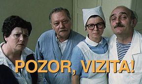 Pozor, vizita!