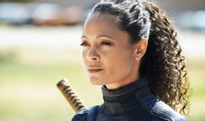 Westworld IV (5)