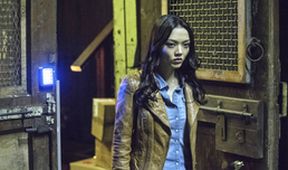 Arrow III (19)