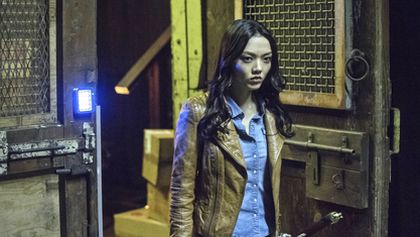 Arrow III (19)