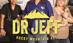Dr. Jeff: Veterinář ze Skalnatých hor VI (10)